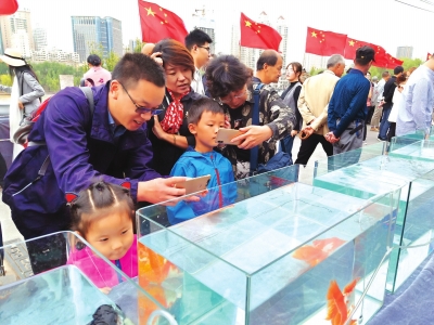 長假期間，有趣的活動吸引了市民圍觀